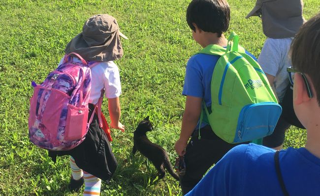 Foto von Kindern und einer Katze in einer grünen Wiese