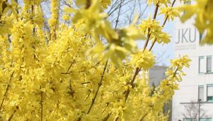 Frohe Ostern