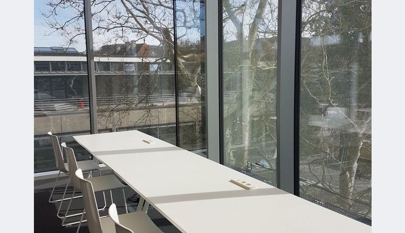 Für konzentriertes Lernen: ein sonniges Plätzchen an vorderster Fensterfront 