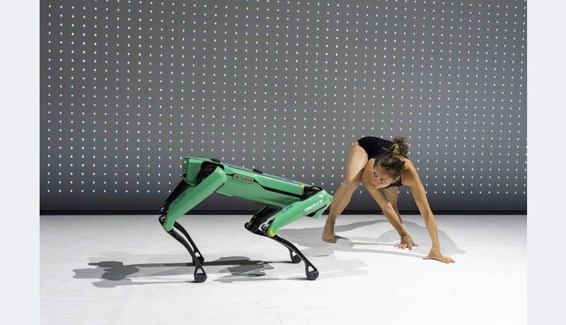 Silke Grabinger dancing with a computer dog