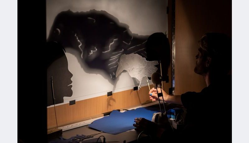 Shadow theater